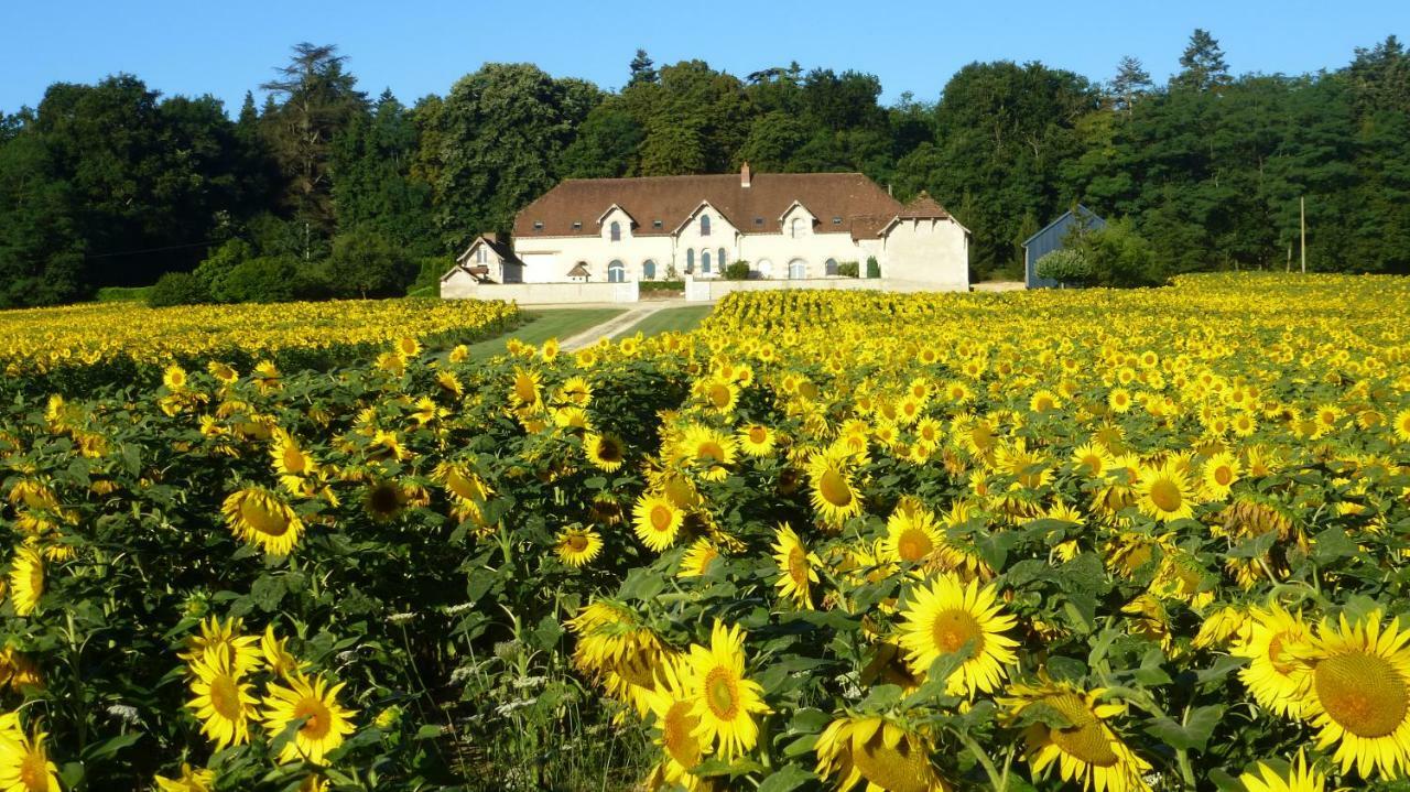 Domaine De La Maison Neuve Saint-Jean-Saint-Germain Eksteriør bilde